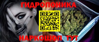 шишки Гусь-Хрустальный