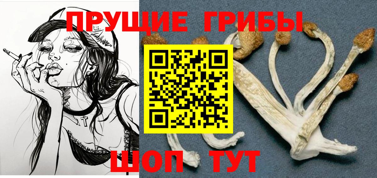 Псилоцибиновые грибы мицелий Малгобек