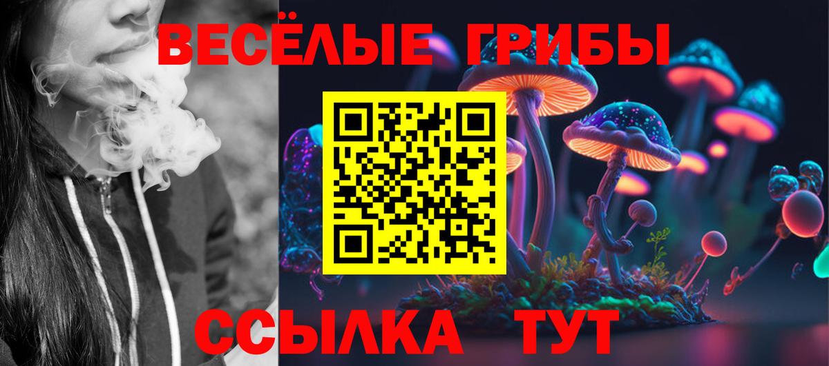 Галлюциногенные грибы мицелий  Вход с VPN  купить  цена  Малгобек 