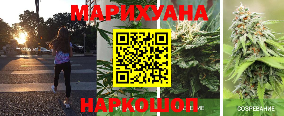 Бошки марихуана конопля Малгобек